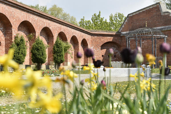 Bild vergr��ern: Klenzepark im Fr�hling - T�rkischer Garten
