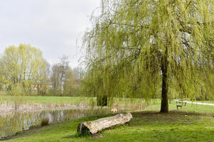 Bild vergr&ouml;&szlig;ern: Stadtteilpark Am Augraben in Unterhaunstadt