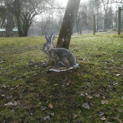 Bild vergr&ouml;&szlig;ern: Pirschpfad im Wildpark am Baggersee