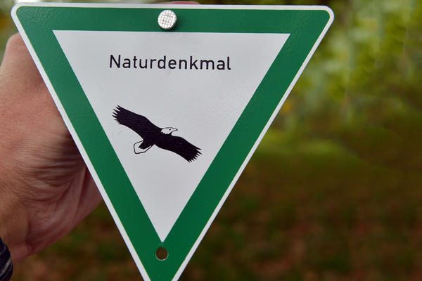 Bild vergr��ern: Hinweisschild Naturdenkmal