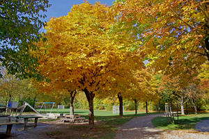 Bild vergr&ouml;&szlig;ern: Der Nordpark im Herbst