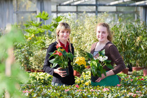 Ausbildung G&auml;rtner/-in (m/w/d) - Fachrichtung Zierpflanzenbau