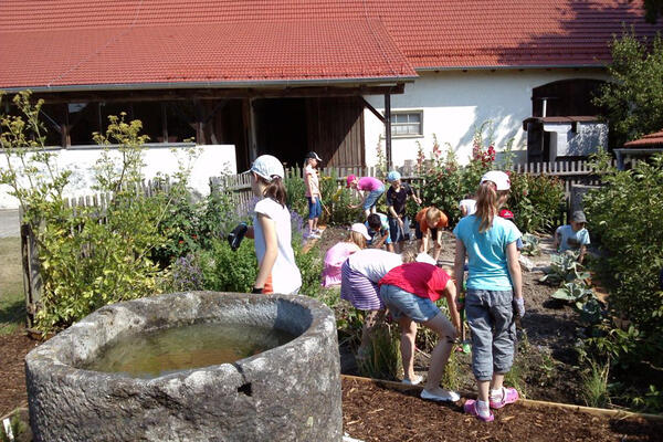 Wie Maschinen das Leben auf dem Bauernhof ver&auml;nderten 
