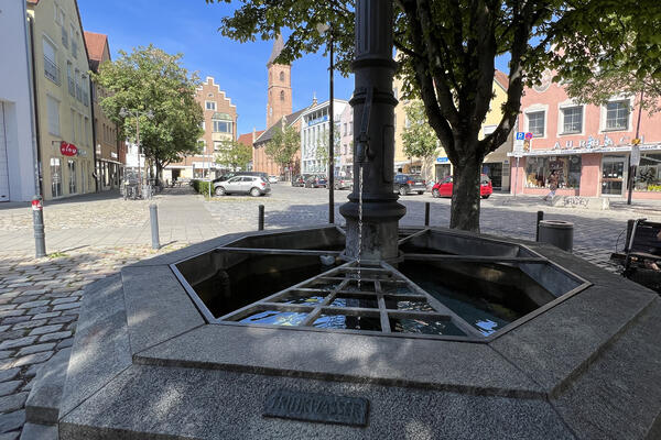 K&uuml;hl bleiben in Ingolstadt