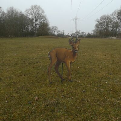 Bild vergr&ouml;&szlig;ern: Pirschpfad im Wildpark am Baggersee