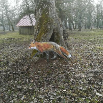 Bild vergr&ouml;&szlig;ern: Pirschpfad im Wildpark am Baggersee